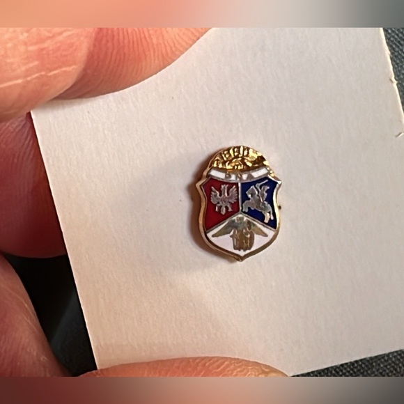 PNA lapel pin Polish national alliance - Picture 2 of 6
